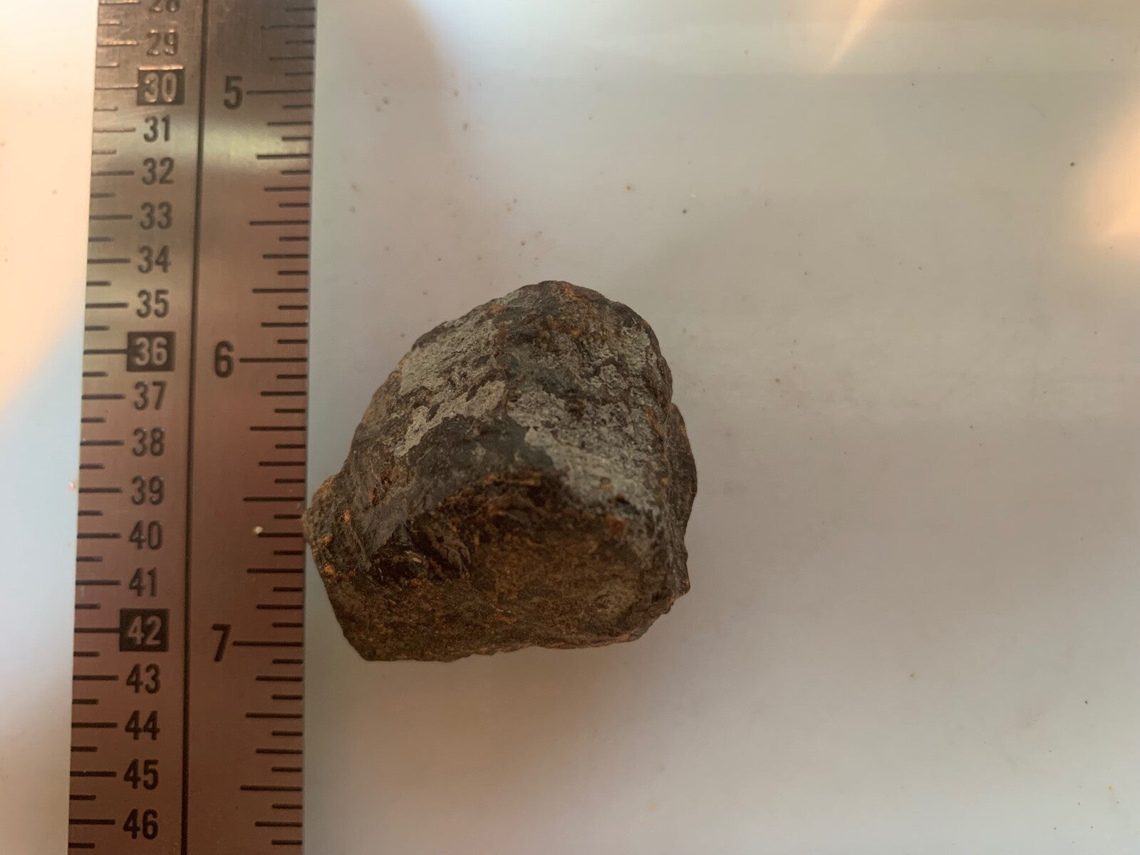 Amber Rough Brown Huge Piece Lapidary Carving Specimen Liquidation Closeout Sale