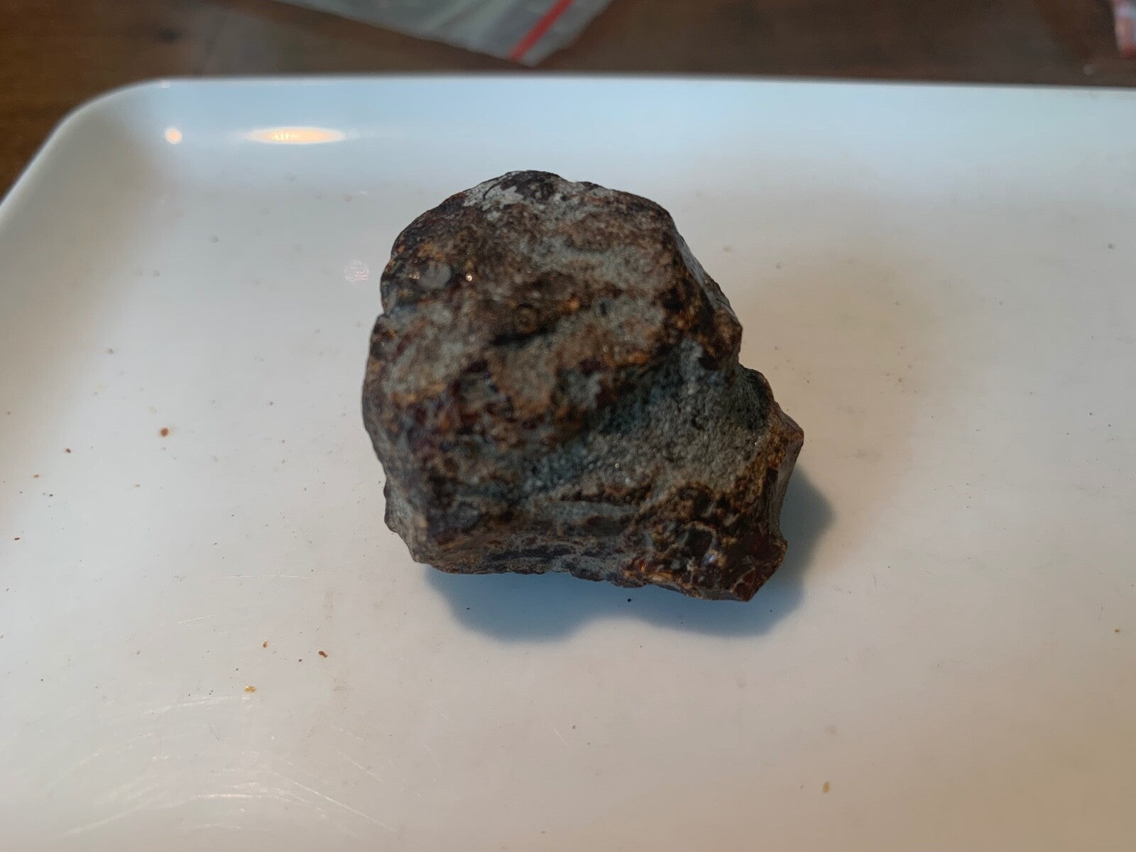 Amber Rough Brown Huge Piece Lapidary Carving Specimen Liquidation Closeout Sale