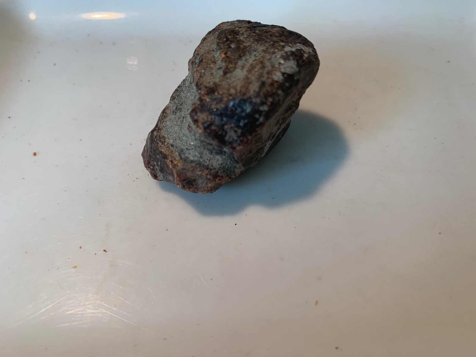 Amber Rough Brown Huge Piece Lapidary Carving Specimen Liquidation Closeout Sale