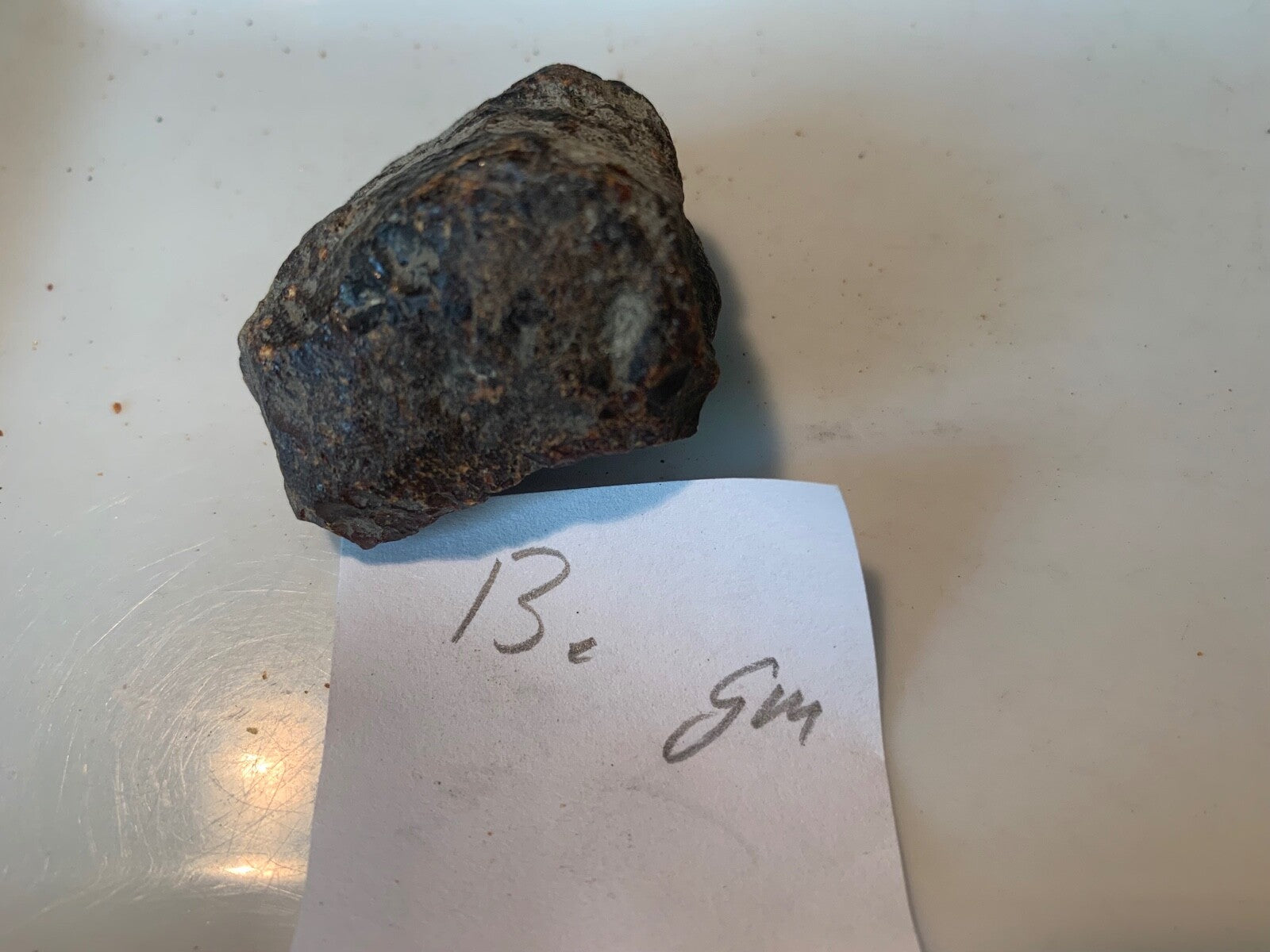 Amber Rough Brown Huge Piece Lapidary Carving Specimen Liquidation Closeout Sale