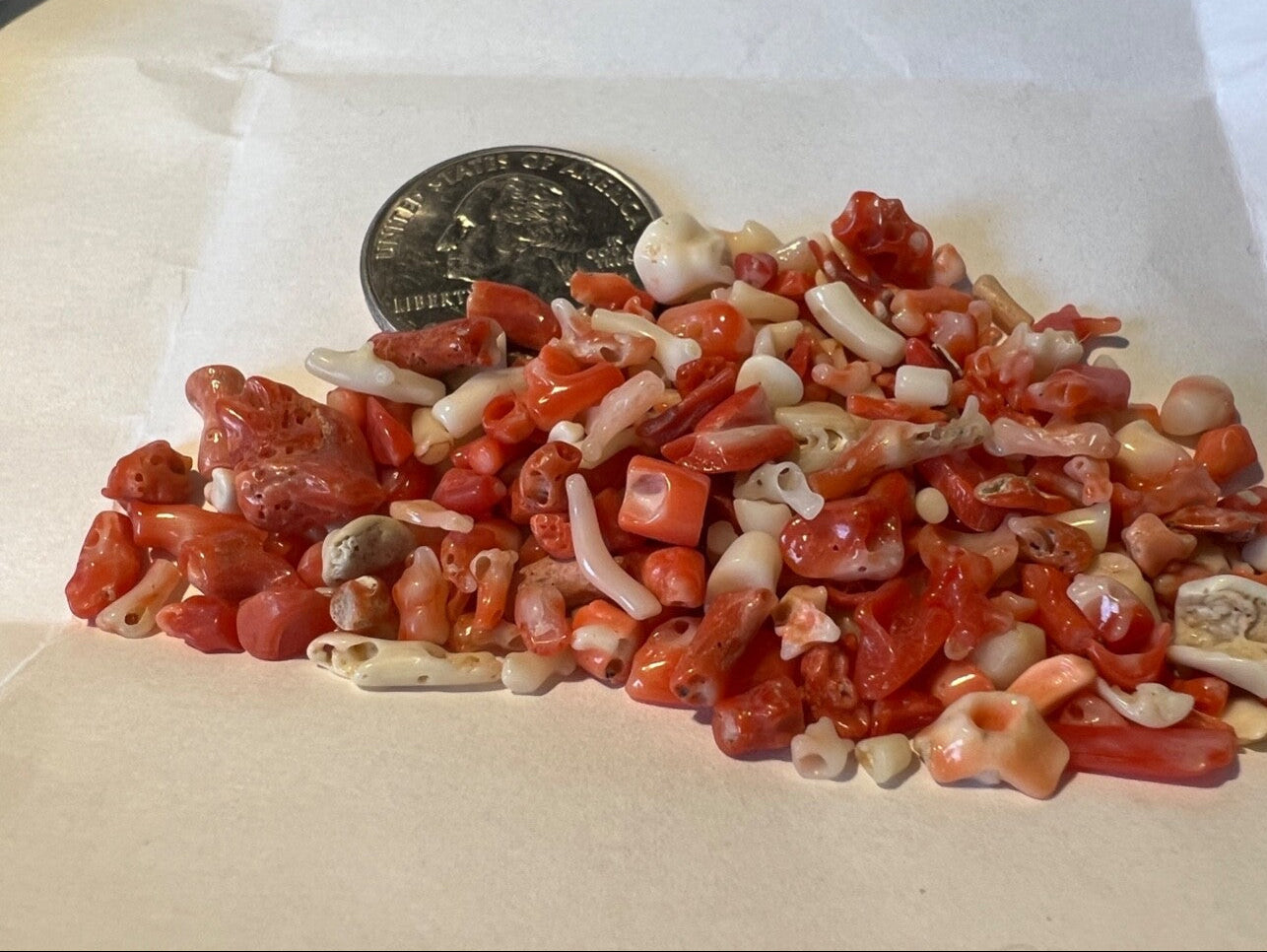 Red Coral White Coral Pink Coral Bit's END OF PARCEL Closeout Estate Liquidation