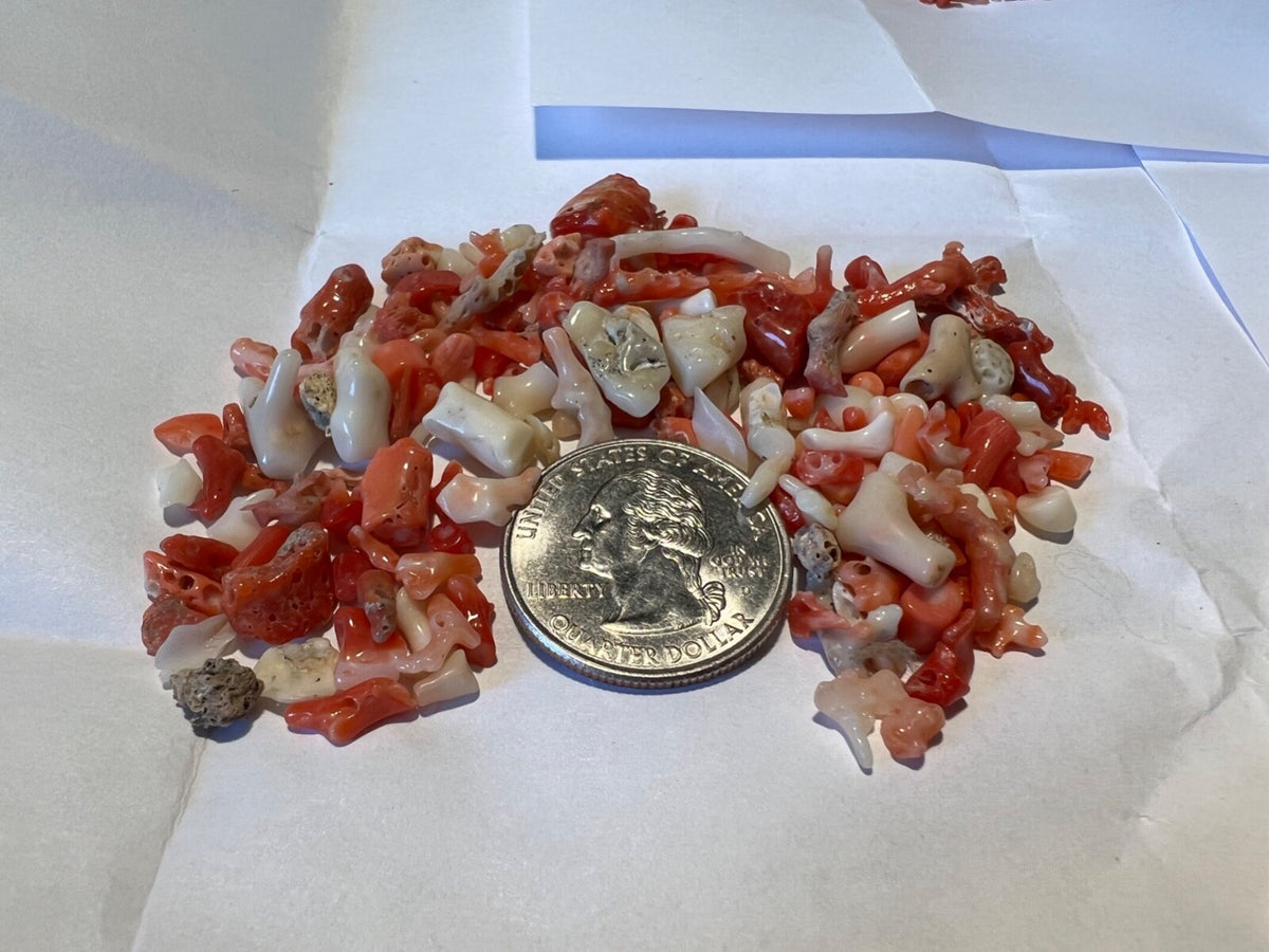 Red Coral White Coral Pink Coral Bit's END OF PARCEL Closeout Estate Liquidation
