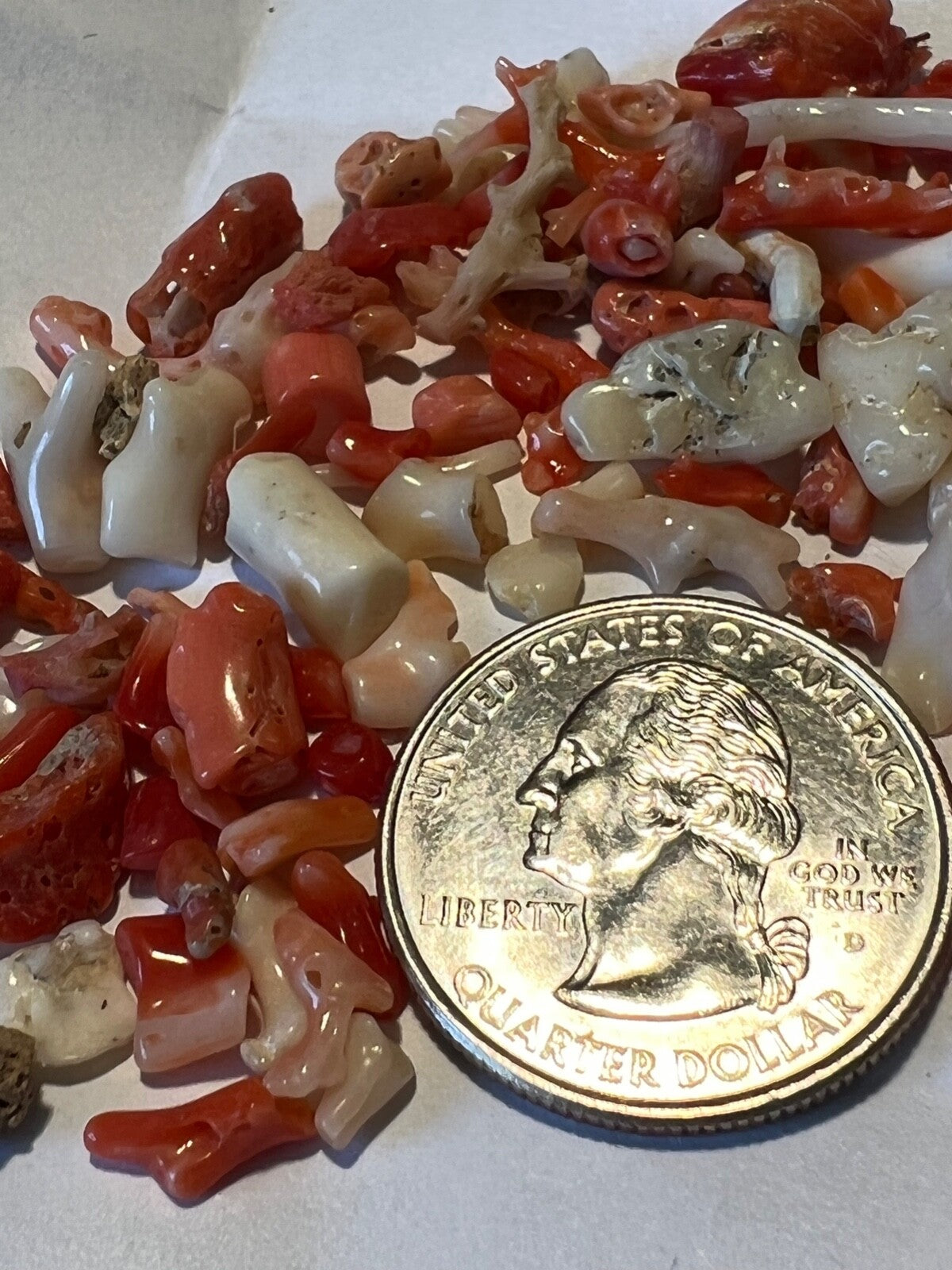Red Coral White Coral Pink Coral Bit's END OF PARCEL Closeout Estate Liquidation